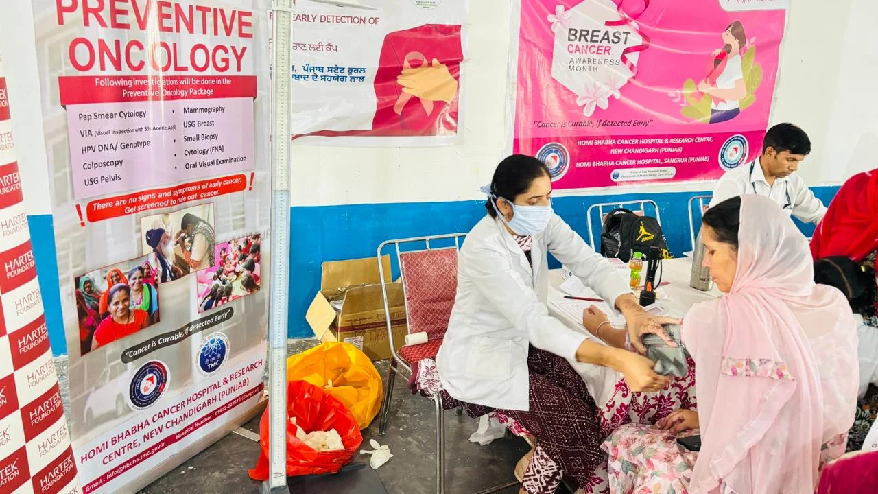 WhatsApp Image 2025-10-14 at 16.12.47