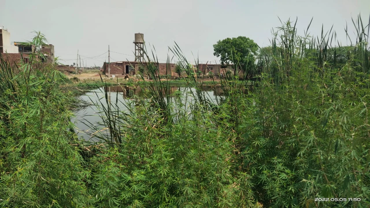 PHOTO-2022-05-06-14-59-36