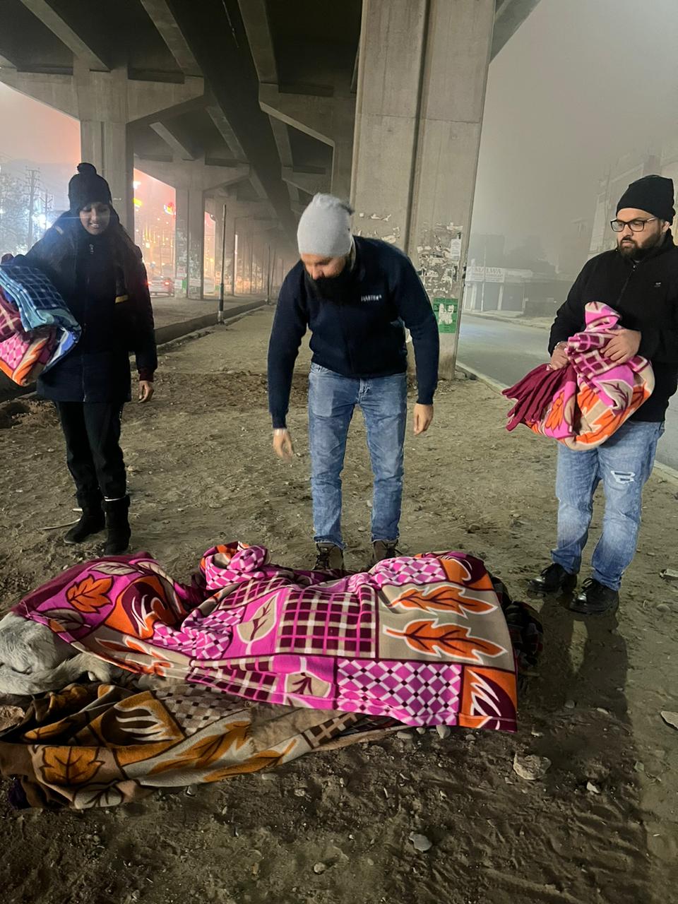 Blanket Distribution2