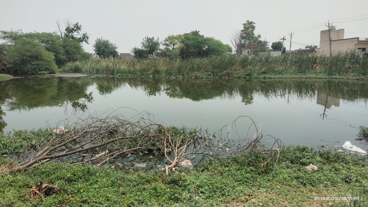 Waste Water pond management 2