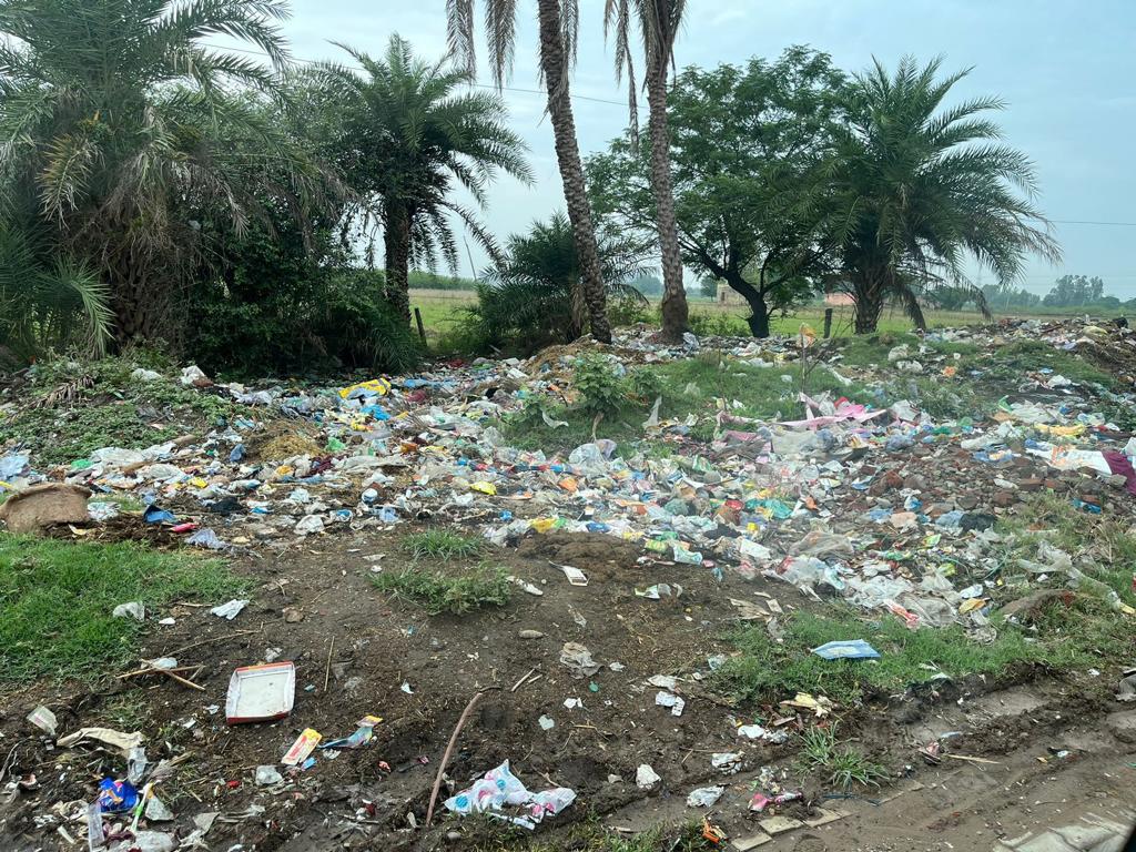 World Environment Day 2